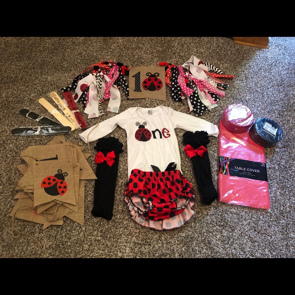 Ladybug Birthday Lot